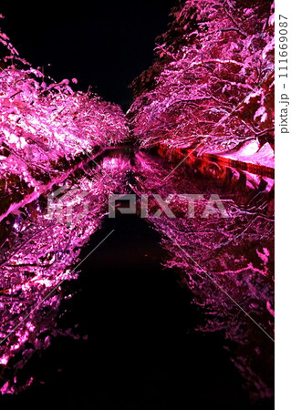 青森県弘前公園のさくらの冬のライトアップ 青森県弘前公園のさくらの冬のライトアップ 111669087