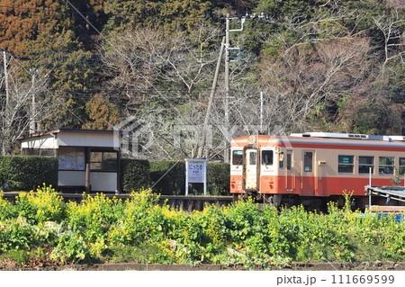 いすみ鉄道「菜の花咲く2月中旬の新田野駅風景」 111669599
