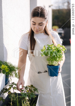 Smiled young female creating garden at balcony. Woman hold pot with dill and basil. Starting for landing Smiled young female creating garden at balcony. Woman hold pot with dill and basil. Starting for landing 111669783