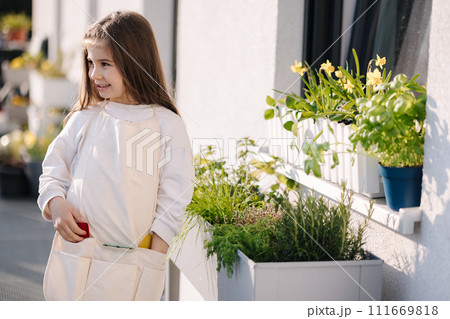 Cute girl plants greens in front of the window. Ripe harvest on balcony. Cute girl plants greens in front of the window. Ripe harvest on balcony. 111669818