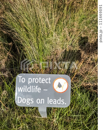 Please keep your dog on a lead information to protect wildlife Please keep your dog on a lead information to protect wildlife 111669891