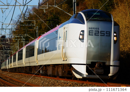 E259系 ・成田エクスプレス(リニューアルカラー) E259系 ・成田エクスプレス(リニューアルカラー) 111671364
