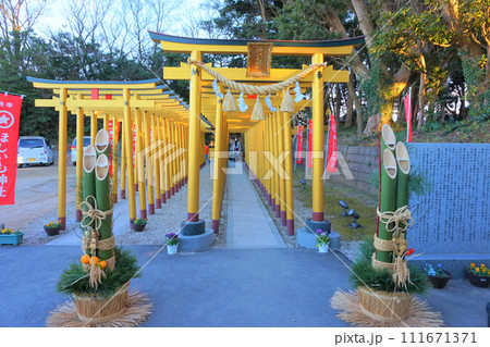 ほしいも神社 黄金 鳥居 境内 堀出神社 ほしいも神社 黄金 鳥居 境内 堀出神社 111671371