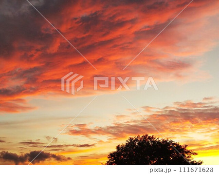美しい夕焼け空 111671628