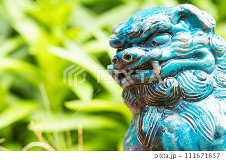 見下ろすシーサー 見下ろすシーサー 111671657