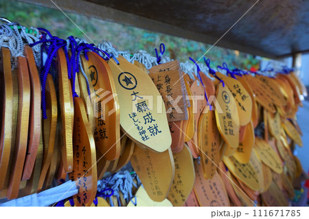 ほしいも神社 絵馬 大願成就 黄金 堀出神社 ほしいも神社 絵馬 大願成就 黄金 堀出神社 111671785