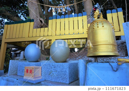 ほしいも神社 陰陽の御神木 タブノキ 金のたまご 銀のたまご 堀出神社 ほしいも神社 陰陽の御神木 タブノキ 金のたまご 銀のたまご 堀出神社 111671823