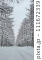 雪道 111672339