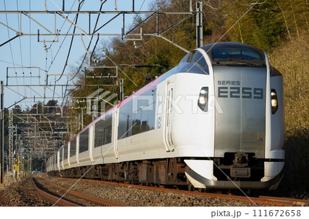 【N'EX】E259系 新デザイン編成 111672658