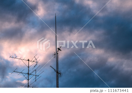 日本の東京都市景観 マンション屋上に設置されているアンテナや雲…この先テレビは… 111673441