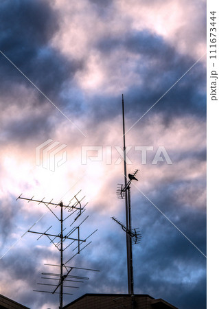 日本の東京都市景観 マンション屋上に設置されているアンテナや雲…この先テレビは… 111673444