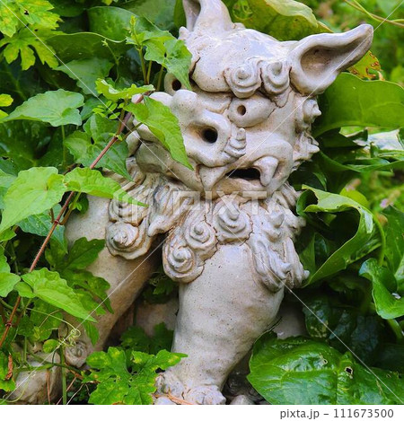 葉っぱに隠れた白いシーサー 111673500