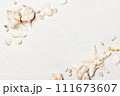 Background with various seashells on white table 111673607