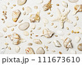 Pattern of various seashells on white background 111673610