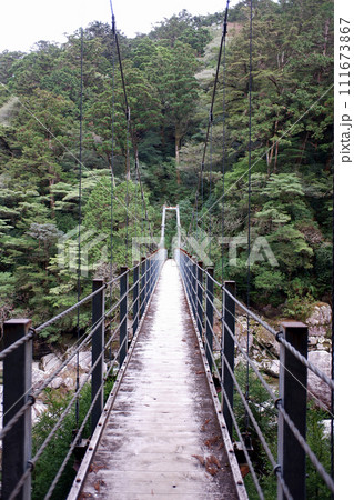屋久島　ヤクスギランド　沢津橋 111673867