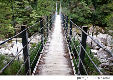 屋久島 ヤクスギランド 沢津橋 屋久島 ヤクスギランド 沢津橋 111673868