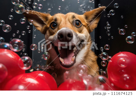 AI-generated content. Cute, Happy Dog Portrait: Fun and Funny Corgi Puppy Playing with Bubbles in Summer Nature 111674125