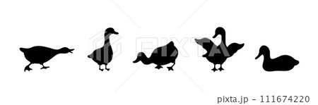 Set of gooses silhouette. Domestic and wild ducks on white background. Agriculture birds on farm. Rural wildlife. Hand drawn print. Vector illustration in flat style 111674220