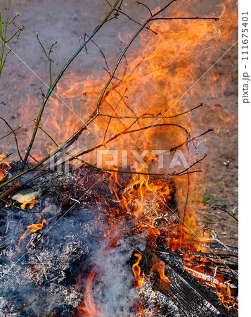 A small fire burns amidst ashes and smoke. A small fire burns amidst ashes and smoke. 111675401