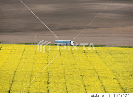 truck goes on the road on flowering rape field. rural landscape with road and truck, top view 111675524