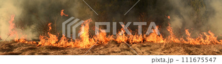 wildfire, forest fire, burning forest 111675547