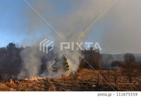 wildfire, forest fire, burning forest wildfire, forest fire, burning forest 111675559