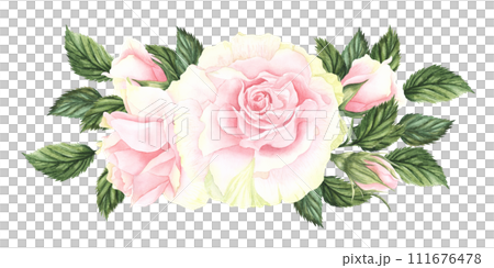 Pastel watercolor pink and white roses, buds and leaves . Hand drawn illustration branch of flowers isolated on white background. Cute composition for wedding or bouquet for greeting card. 111676478