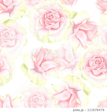 Pastel watercolor pink and white roses seamless pattern . Hand drawn illustration of flowers isolated on white background. Cu. 111676479