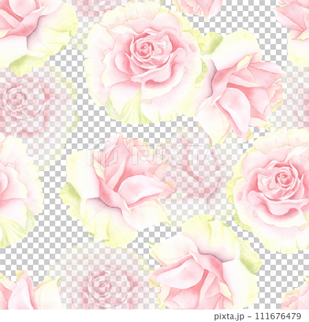 Pastel watercolor pink and white roses seamless pattern . Hand drawn illustration of flowers isolated on white background. Cu. 111676479