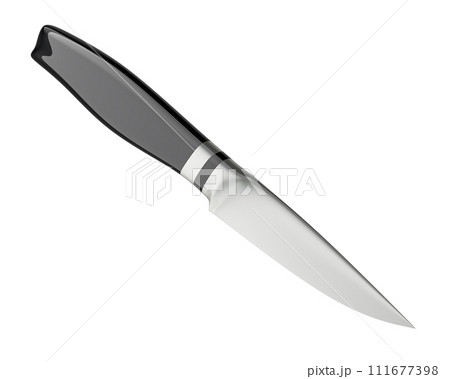 Paring knife. 3D rendering 111677398
