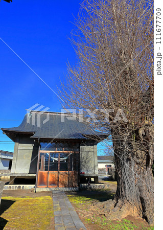 梅見月(うめみづき)中山河川公園 尻地 三上神社 梅見月(うめみづき)中山河川公園 尻地 三上神社 111677709
