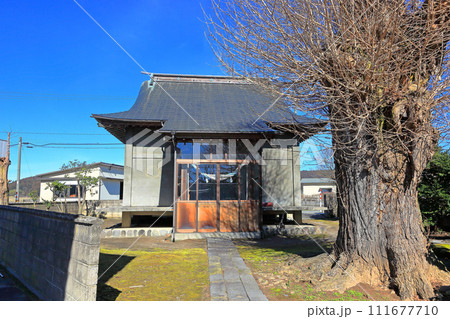 梅見月（うめみづき）中山河川公園　尻地 三上神社 111677710