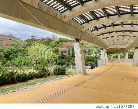 沖縄県恩納村沖縄科学技術大学院 沖縄県恩納村沖縄科学技術大学院 111677897