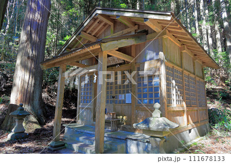 木芽月(このめつき) 丸池様 丸池神社 木芽月(このめつき) 丸池様 丸池神社 111678133
