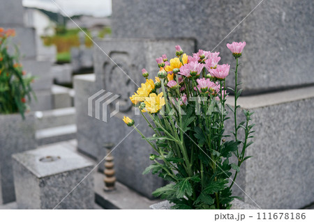 お墓に供えられているお花 111678186