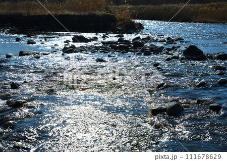 荒川本流の水辺 きらめく反射 花園水辺公園付近 荒川本流の水辺 きらめく反射 花園水辺公園付近 111678629