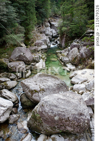 屋久島　ヤクスギランド　荒川地区の渓谷 111679326