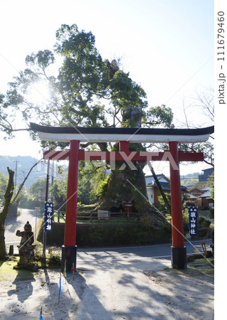 旗山神社の大楠 旗山神社の大楠 111679460