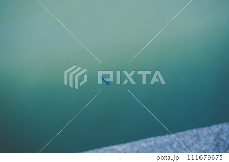 angler angler 111679675