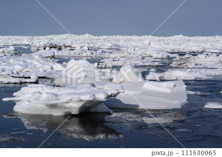 以久科原生花園の流氷 111680065
