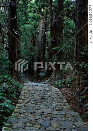 熊野古道大門坂 111680077