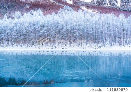 冬の上高地スノーハイク 111680670