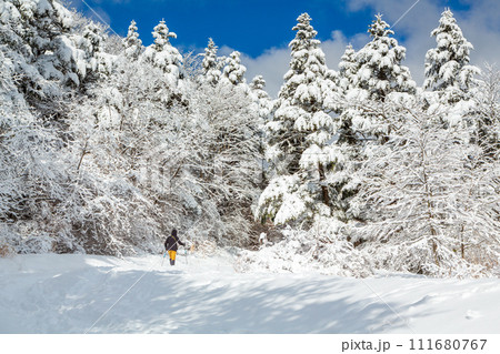 富士山スカイライン雪景色 富士山スカイライン雪景色 111680767
