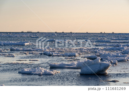 根室海峡のホタテ漁 111681269