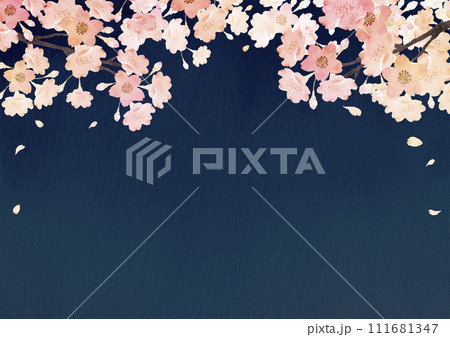 桜 夜桜　背景 フレーム　水彩 イラスト 111681347