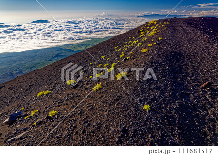 富士山・宝永山稜線から見る朝の箱根・伊豆の山並み 111681517