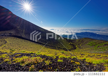 イタドリ咲く富士山・宝永火口から愛鷹山・箱根・伊豆の山並み 111682222