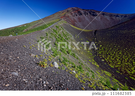 御殿庭への下りから見る富士山山頂 111682385