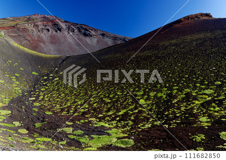 御殿庭から見る宝永山と富士山山頂 御殿庭から見る宝永山と富士山山頂 111682850