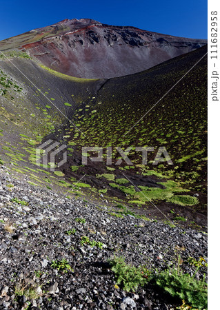 御殿庭から見る宝永火口と富士山山頂 111682958